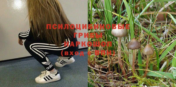 молекула духа Баксан