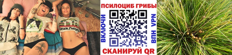 Галлюциногенные грибы GOLDEN TEACHER  сколько стоит  Ногинск 