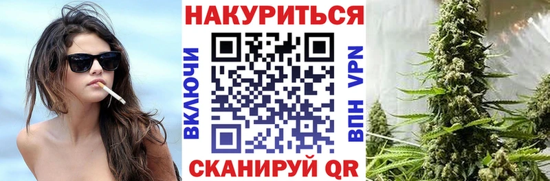 Каннабис сатива  Ногинск 